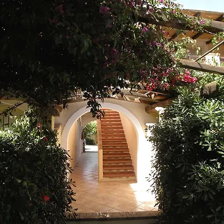 Le Bouganville And וילסימיוס